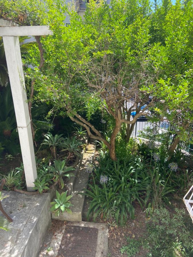 Guest house Dana House *