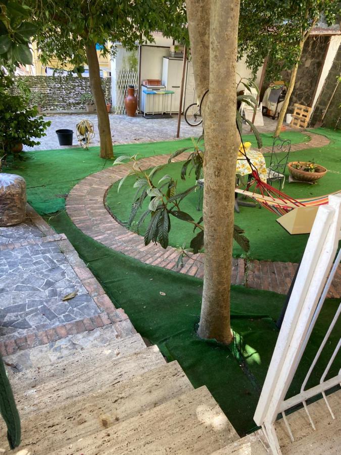 Dana House Guest house *