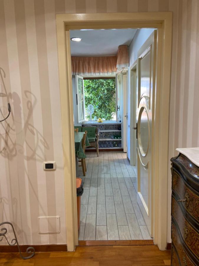 Dana House Guest house *