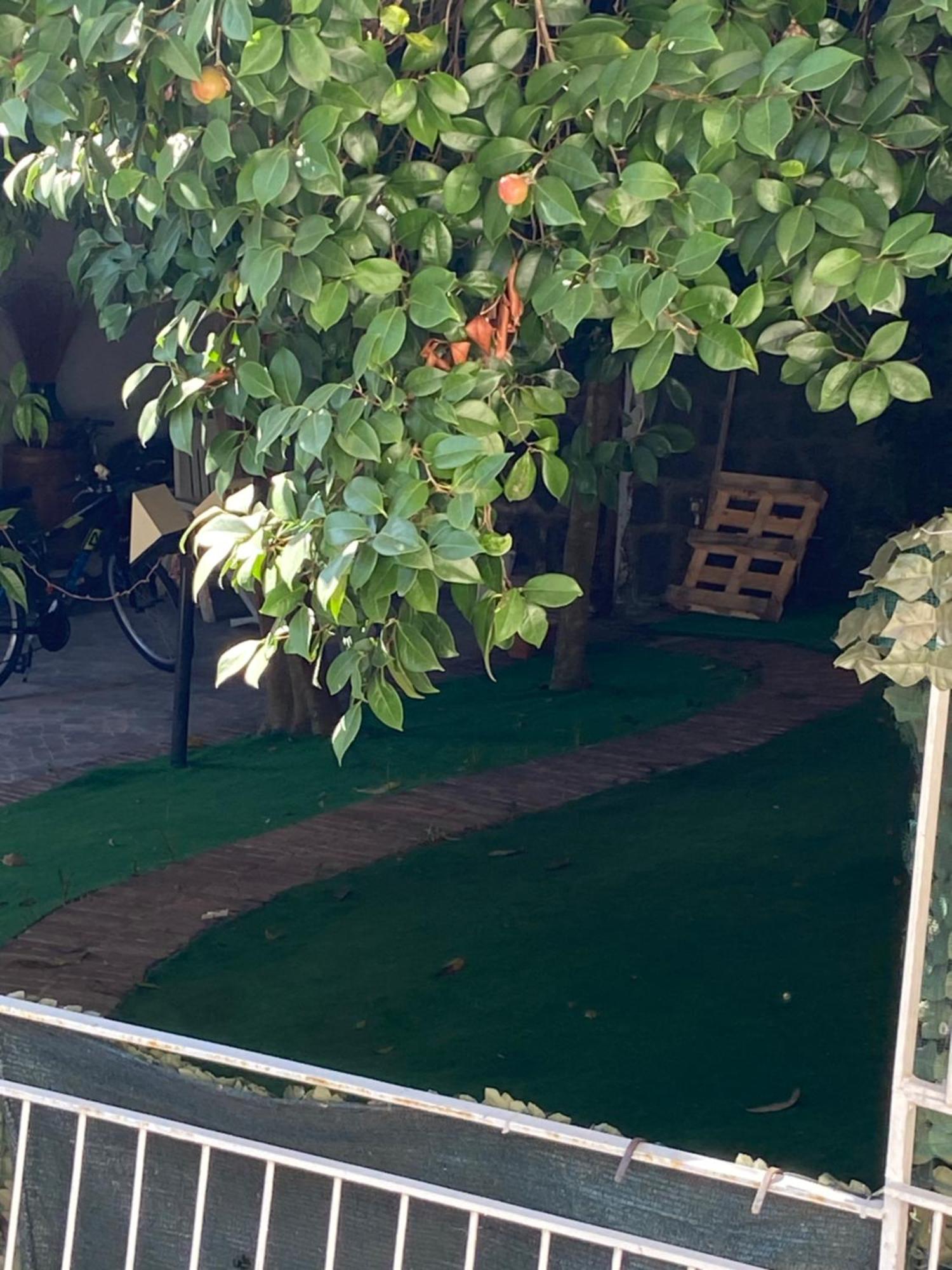 Affittacamere Dana House Napoli