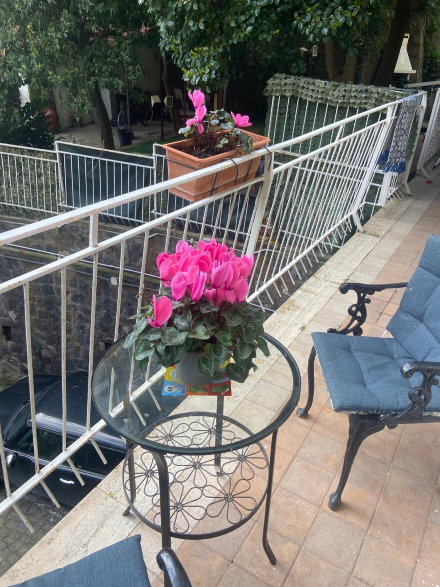 Dana House * Naples